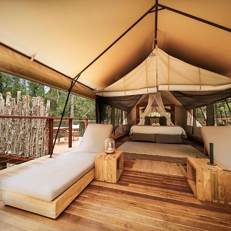 Paperbark Camp Otel Woollamia Dış mekan fotoğraf