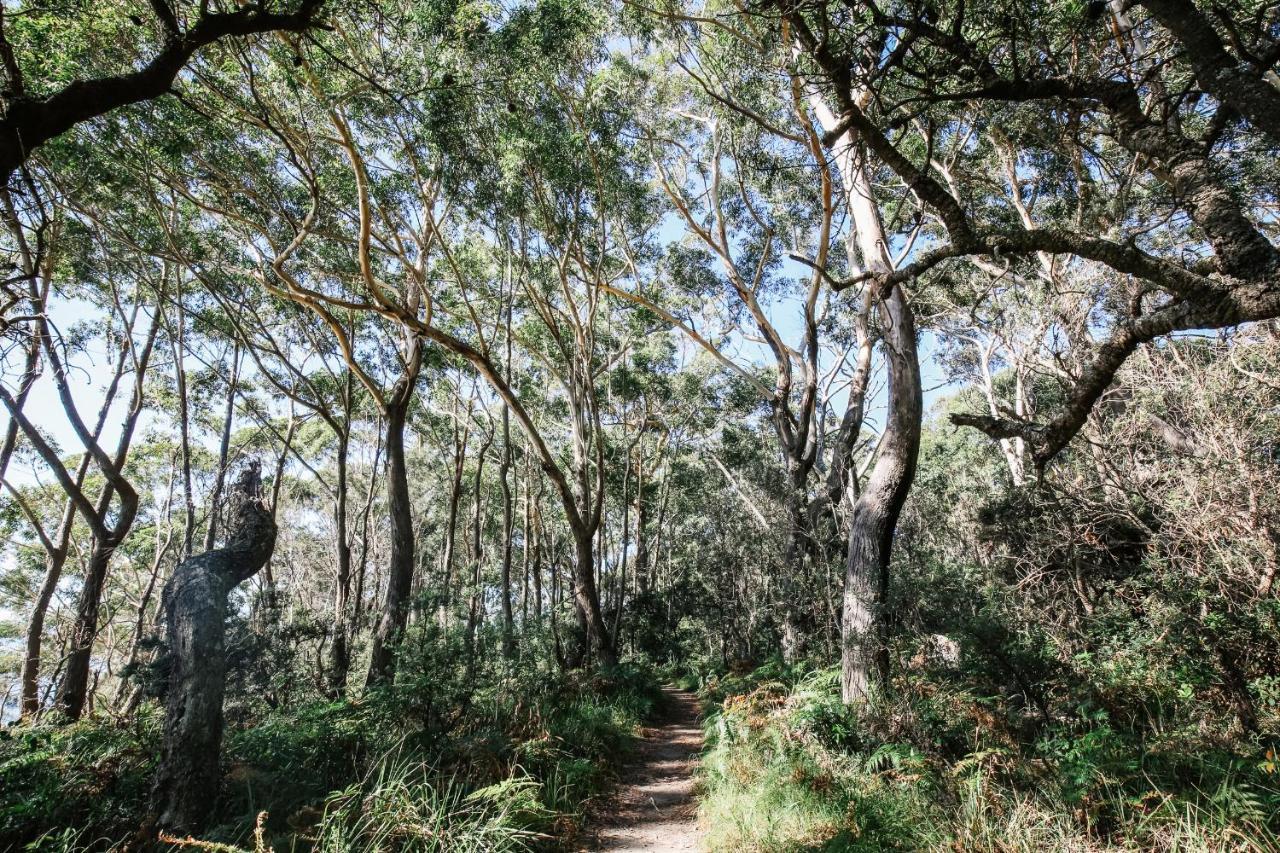 Paperbark Camp Otel Woollamia Dış mekan fotoğraf