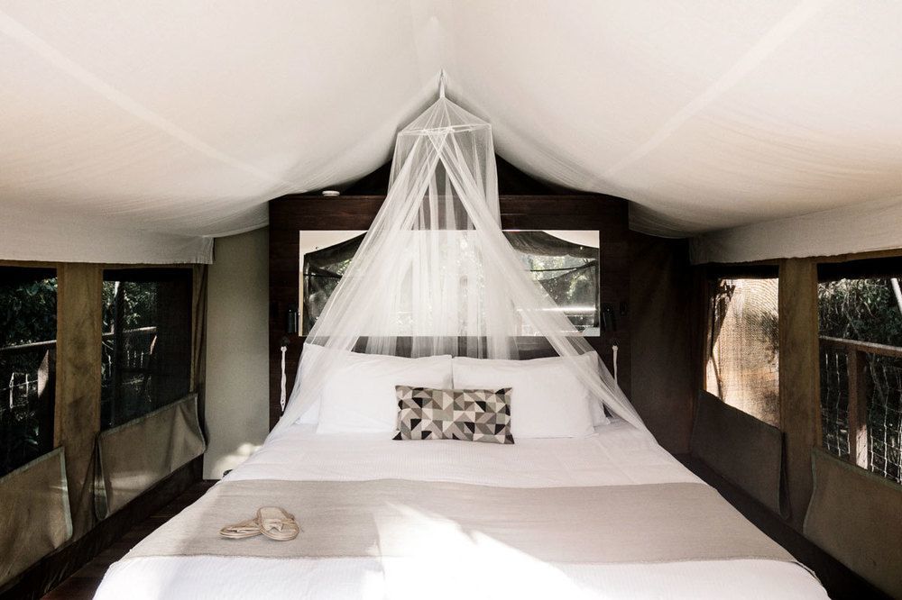 Paperbark Camp Otel Woollamia Dış mekan fotoğraf
