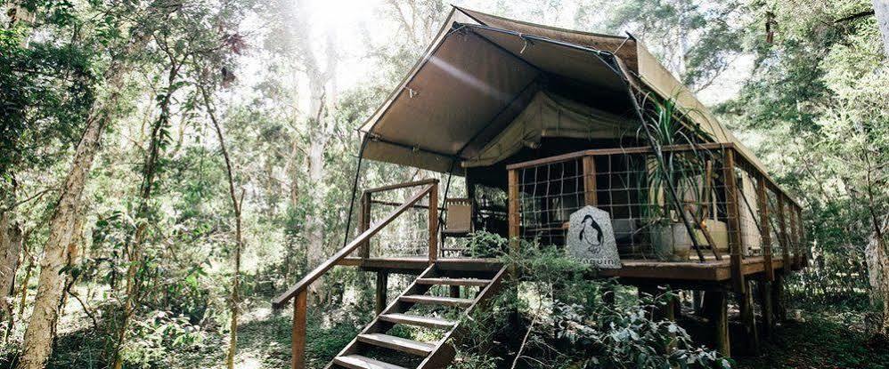 Paperbark Camp Otel Woollamia Dış mekan fotoğraf