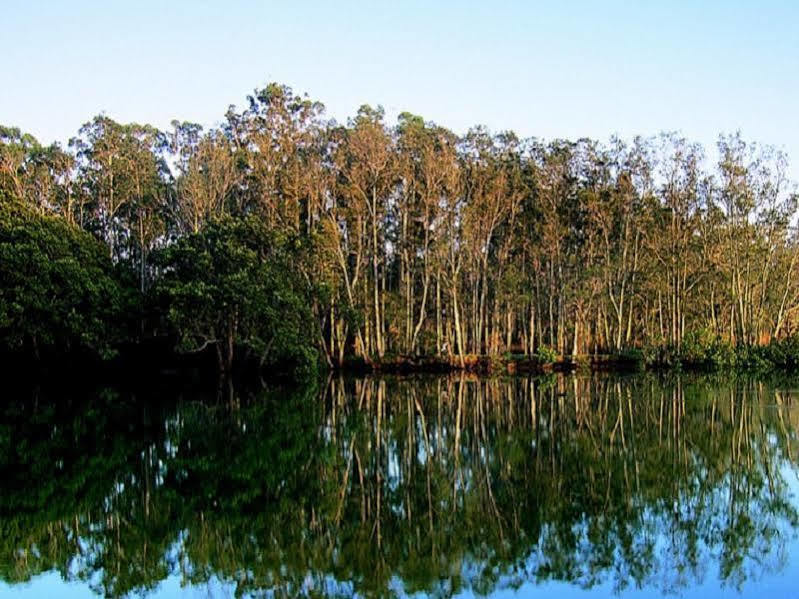 Paperbark Camp Otel Woollamia Dış mekan fotoğraf